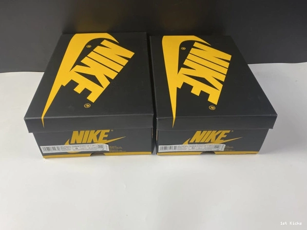 Jordan Air 1 OG Pollen Retro High 555088-701 0805